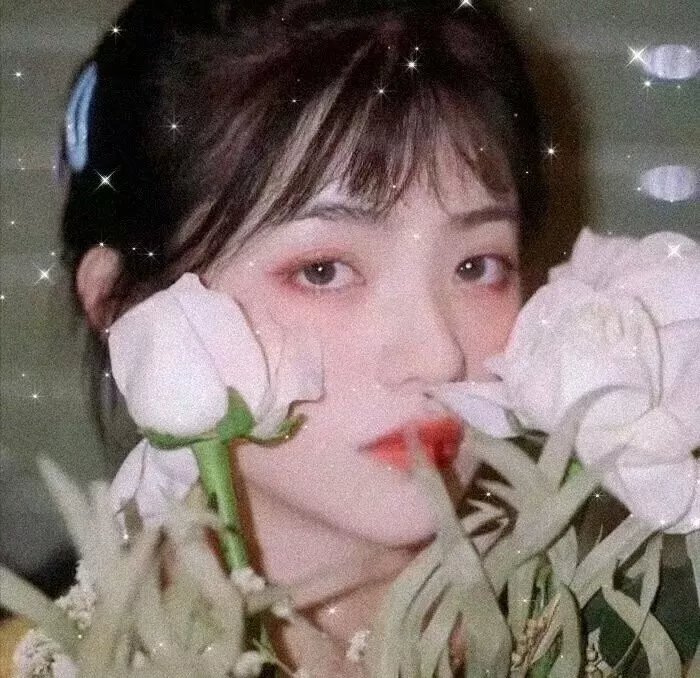 翡翠森林